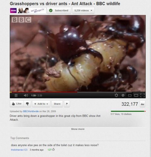 25 Youtube Comments Gone Horribly Right